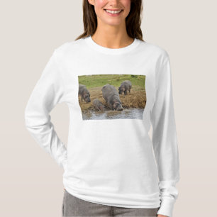 Flodhäst, Hippopotamus amphibius, Serengeti T-shirt