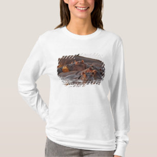 Flodhäst, Hippopotamus amphibius, Sjön Tee Shirt