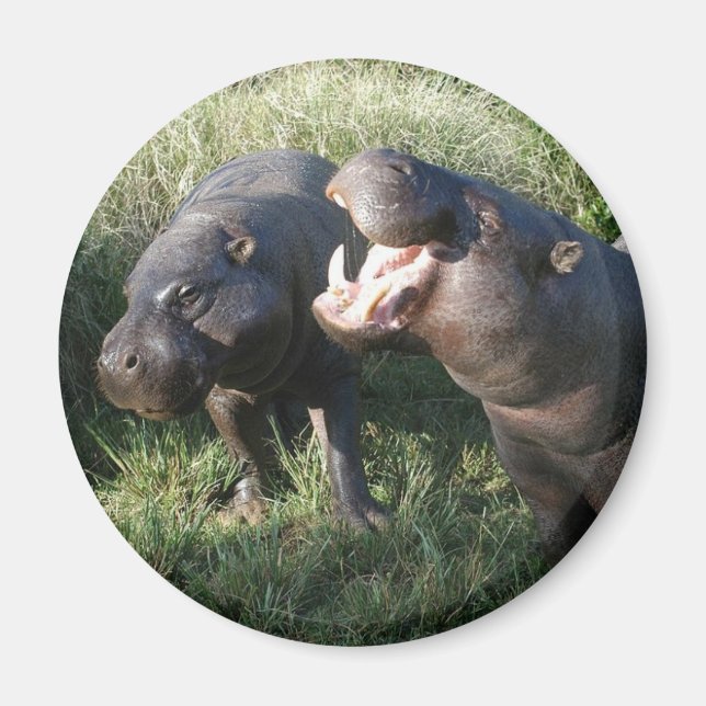 Flodhäst Magnet (Framsidan)