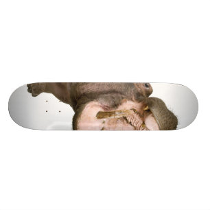 Flodhäst Mini Skateboard Bräda 18,5 Cm