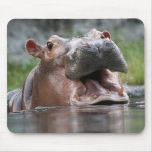 Flodhäst Mousepad Musmatta