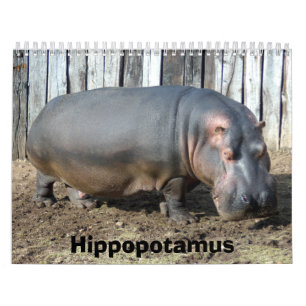 Flodhästkalender, flodhäst kalender