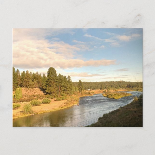 Flodlandskap i Pacific Northwest - vykort (Framsida)