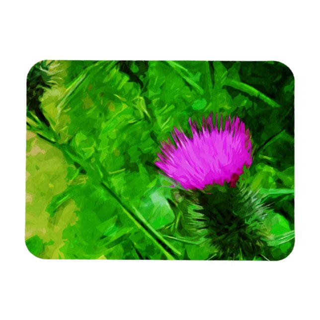 Flodmans Thistle Lila Wildblomme Abstrakt Magnet (Horisontell)