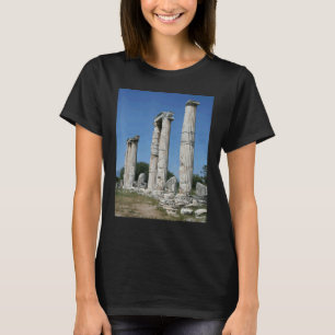 Flodstommen i Aphrodisias Turki T Shirt