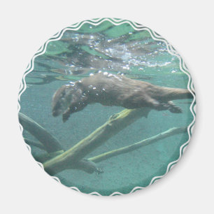 Floduttermagnet Magnet
