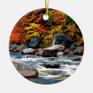 Flodvit New Hampshire Julgransprydnad Keramik