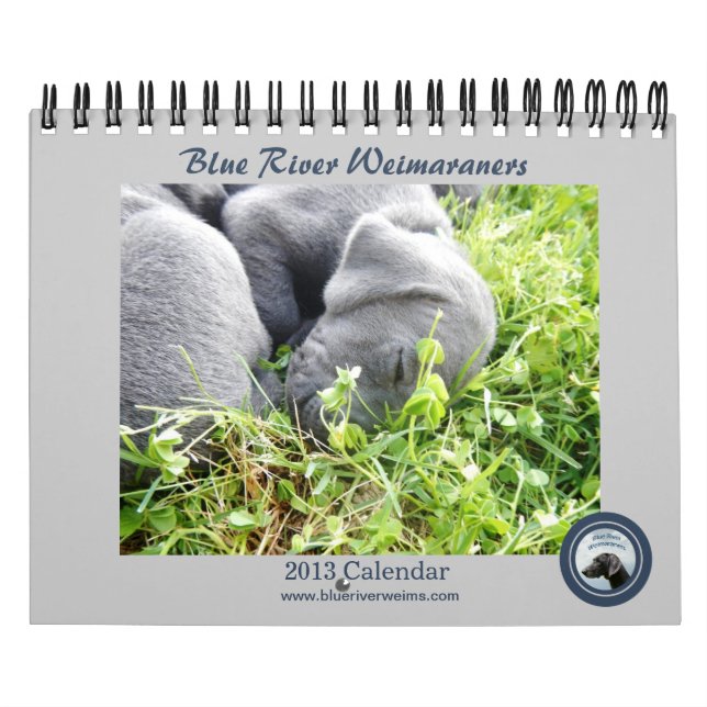 FlodWeimaraners för 2013 blått kalender (Omslag)