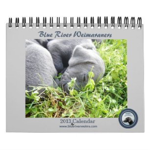 FlodWeimaraners för 2013 blått kalender
