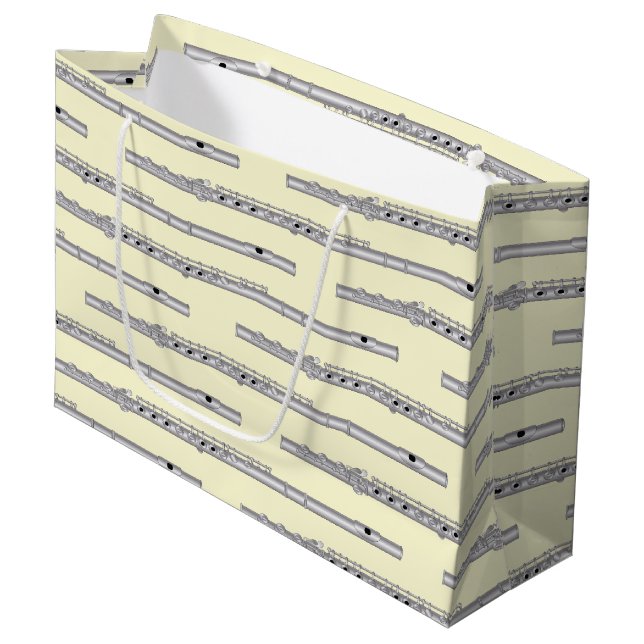 Flöjtmusiker Musiklärare Band (Framsidan Vinklad)