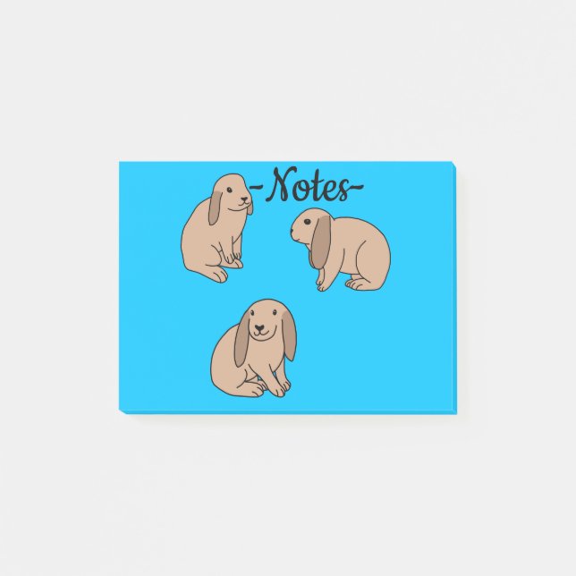 Floppy eared bunnies post-it block (Framsida)