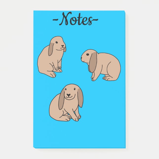 Floppy eared bunnies post-it block (Framsida)