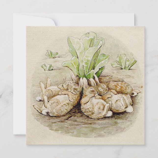 Flopsy Bunnies Asov (efter Beatrix Potter) Kort (Framsida)