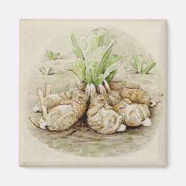 Flopsy Bunnies Asov (efter Beatrix Potter) Magnet