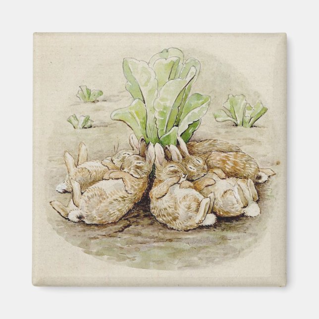 Flopsy Bunnies Asov (efter Beatrix Potter) Magnet (Framsidan)