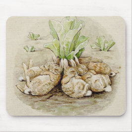 Flopsy Bunnies Asov (efter Beatrix Potter) Musmatta