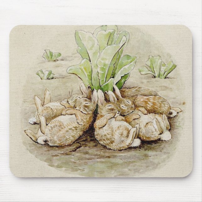 Flopsy Bunnies Asov (efter Beatrix Potter) Musmatta (Framsidan)