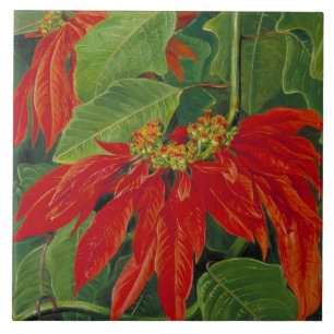 Flor de Pascua eller Påsk Flower, berömd-målning. Kakelplatta