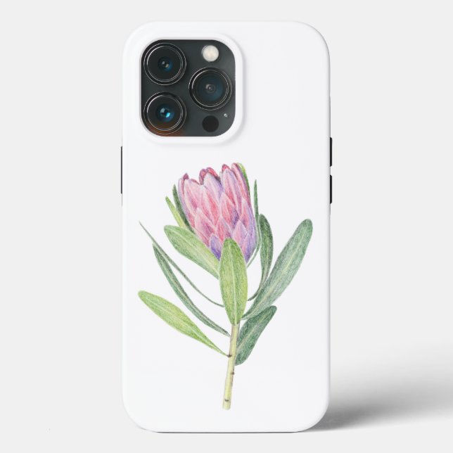 Flor Protea (Baksida )