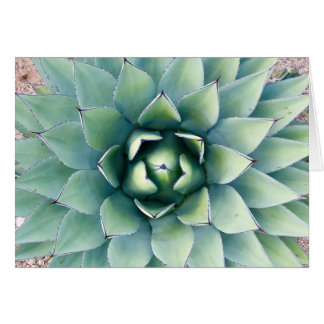 Flora at City of Sten in Deming, NM Hälsningskort