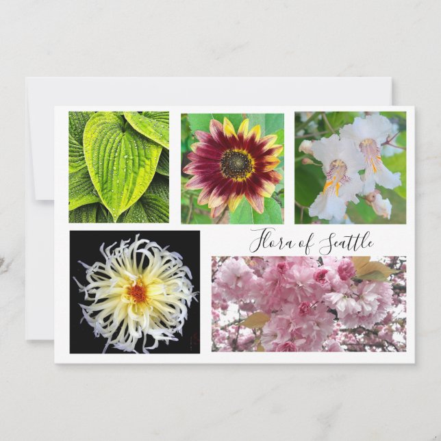 flora of Seattle Inbjudningar (Framsida)
