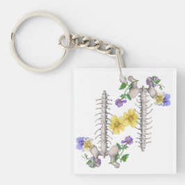 Floral Anatomy - Vertebrae, Hip Bone