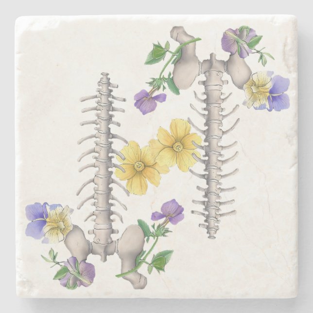 Floral Anatomy - Vertebrae, Hip Bone Stenunderlägg (Framsidan)