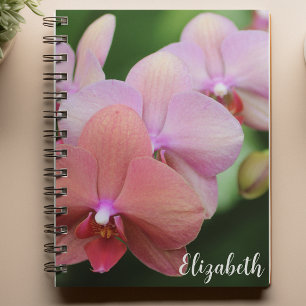 Floral Photography Elegant Rosa Orchids Anpassning Anteckningsbok