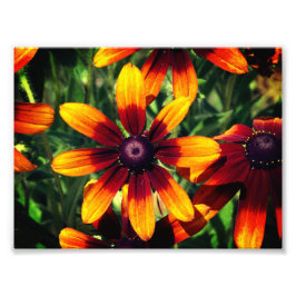 Floral Photography Kodak Professionell Fototryck