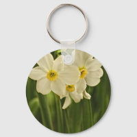Floral Photography: White Vår Narcissus