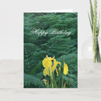 Floral Yellow Iris and Fern "Happy Birthday" Kort