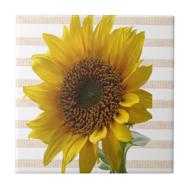 FloralClassic Solros Keramisk Kakel Beige Randig (Framsidan)
