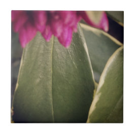 Florategelplatta Daphne Kakelplatta