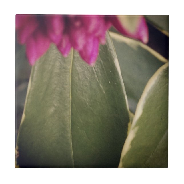 Florategelplatta Daphne Kakelplatta (Framsidan)