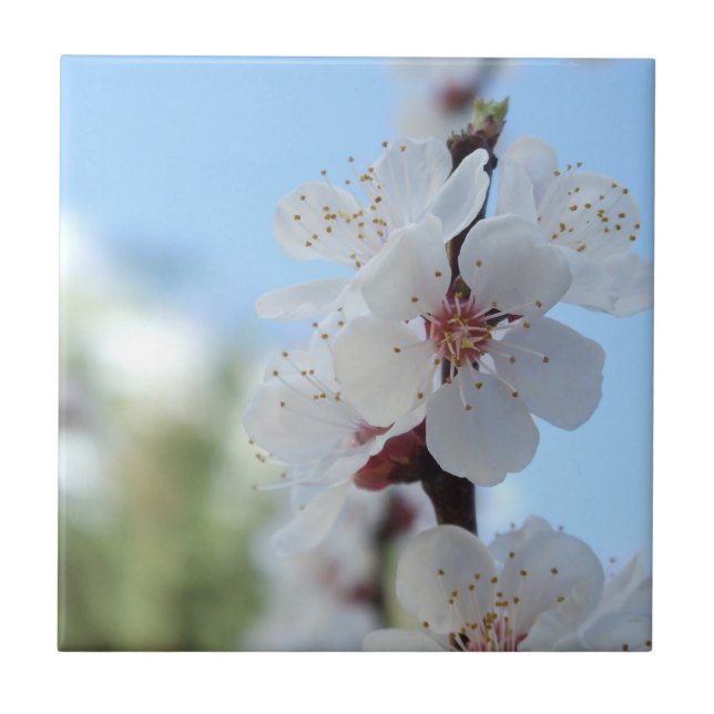 Floreal Ceramic Tile Kakelplatta (Framsidan)