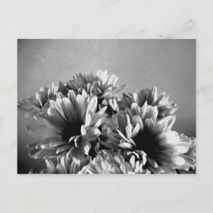 Flörealt svartvitt vykort