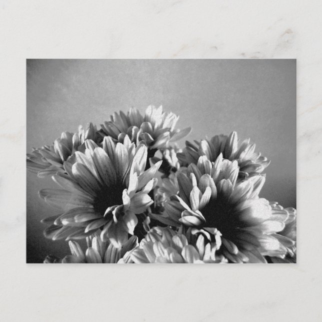 Flörealt svartvitt vykort (Framsida)