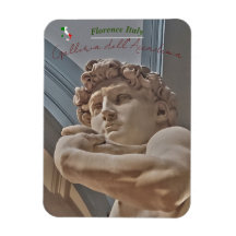 Florence Italien - David