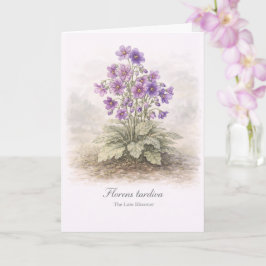 Florens tardiva The Sene Blommaren Botanisk Kort
