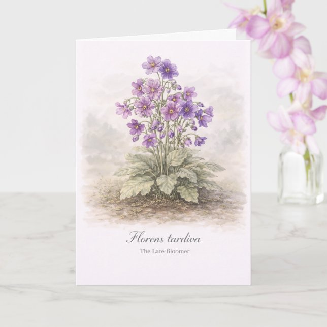Florens tardiva The Sene Blommaren Botanisk Kort (Orkide)
