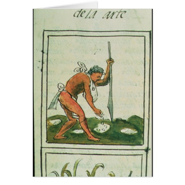 Florentine Codex av Bernardino de Sahagun Hälsningskort (Framsidan)