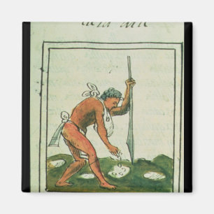 Florentine Codex av Bernardino de Sahagun Magnet