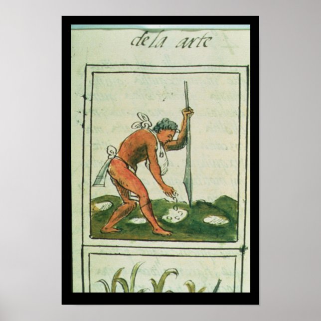 Florentine Codex" av Bernardino de Sahagun Poster (Framsidan)