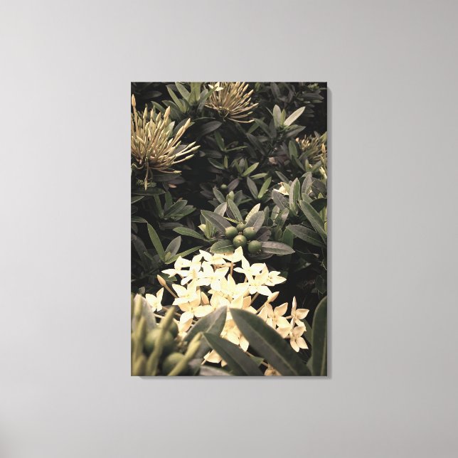 Flores amarelas canvastryck (Framsida)