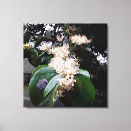 flores brancas1 canvastryck