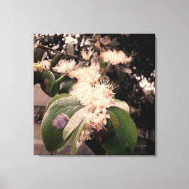 flores brancas3 canvastryck