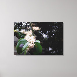 flores brancas canvastryck