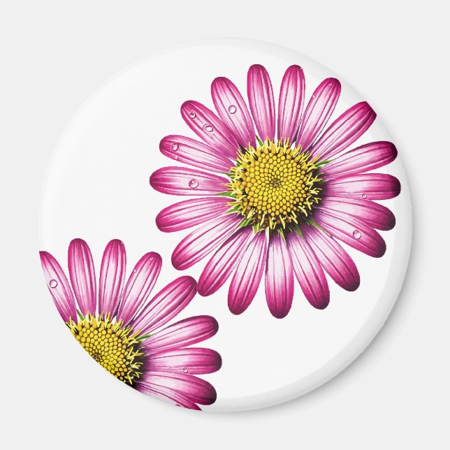 Flores de Gérbera Magnet (Framsidan)