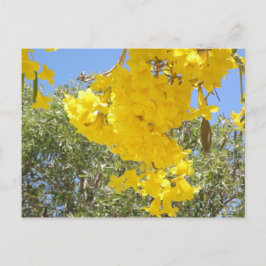 Flores de Puerto Rico Vykort