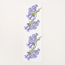 Flores do Brasil jacaranda